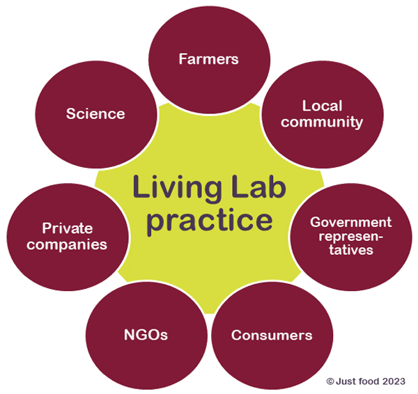 Living Lab practice